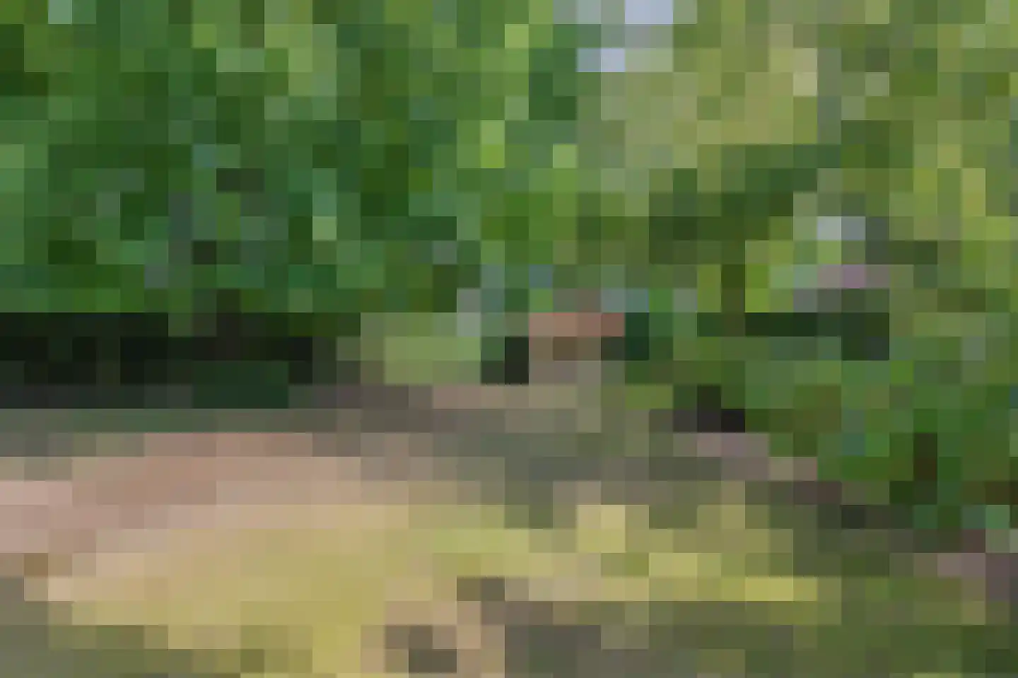 De Scheifelaar 227 Veghel thumbnail 51