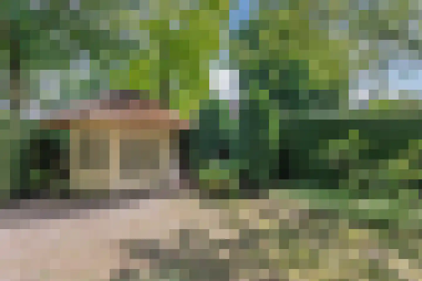 De Scheifelaar 227 Veghel thumbnail 52