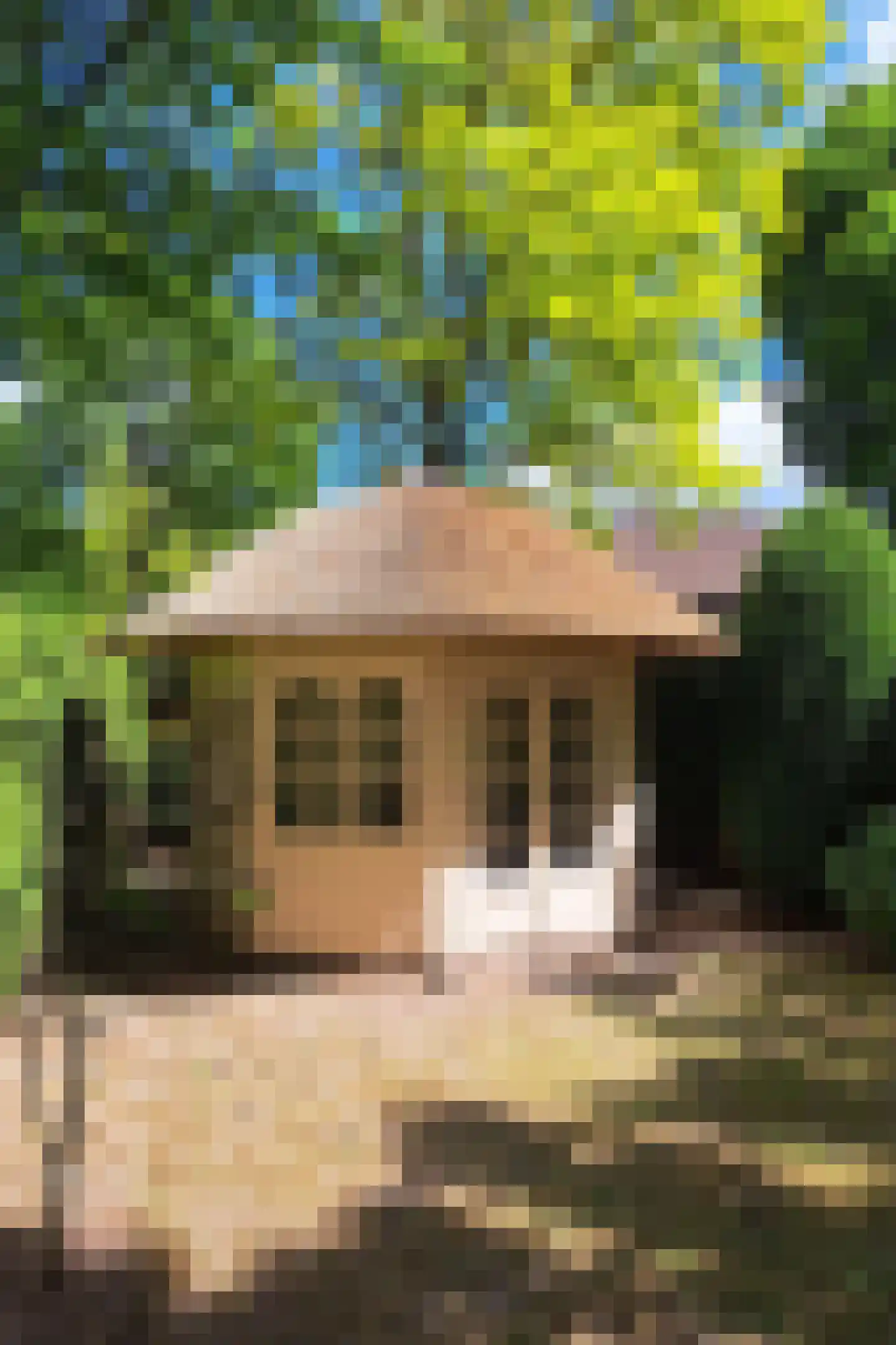 De Scheifelaar 227 Veghel thumbnail 53