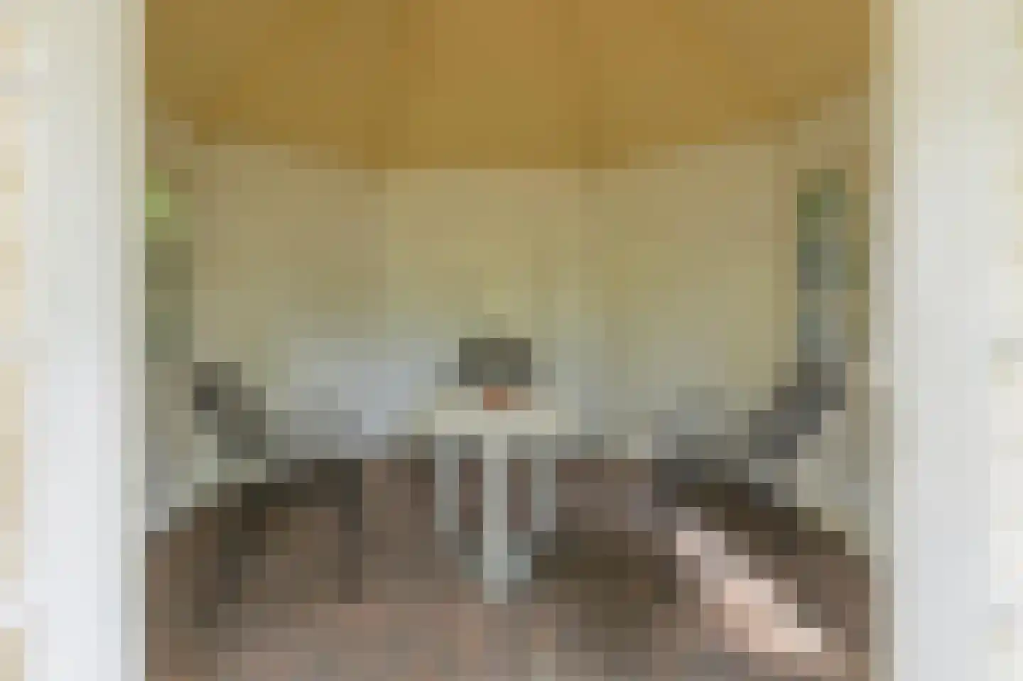 De Scheifelaar 227 Veghel thumbnail 54