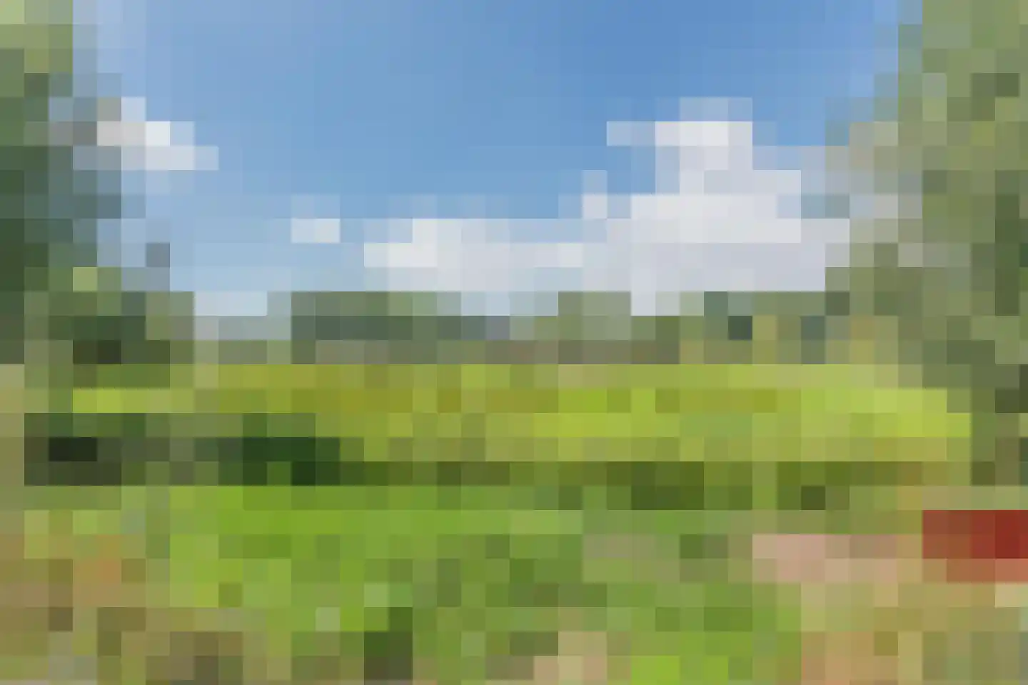 De Scheifelaar 227 Veghel thumbnail 58