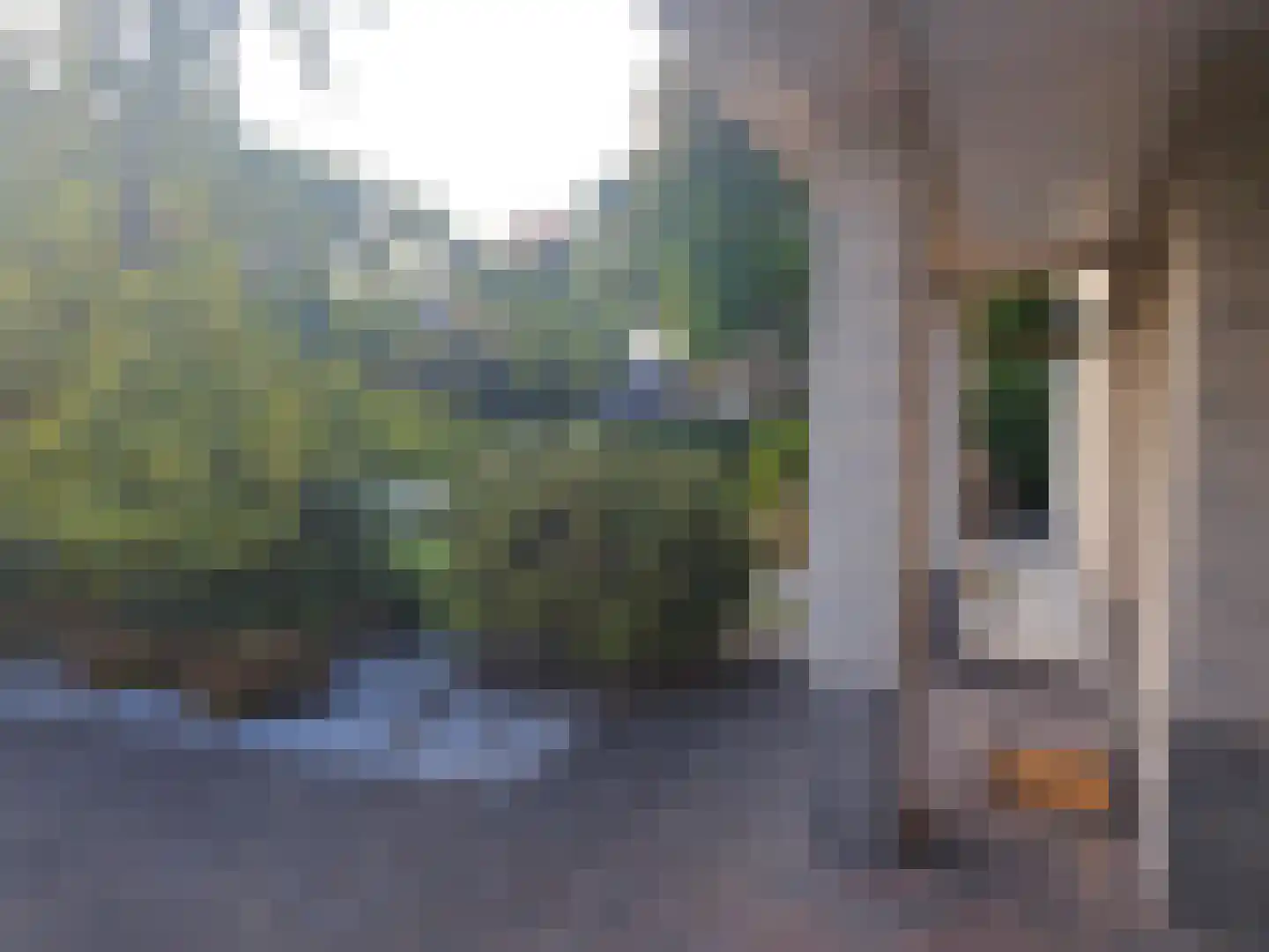De Scheifelaar 227 Veghel thumbnail 6