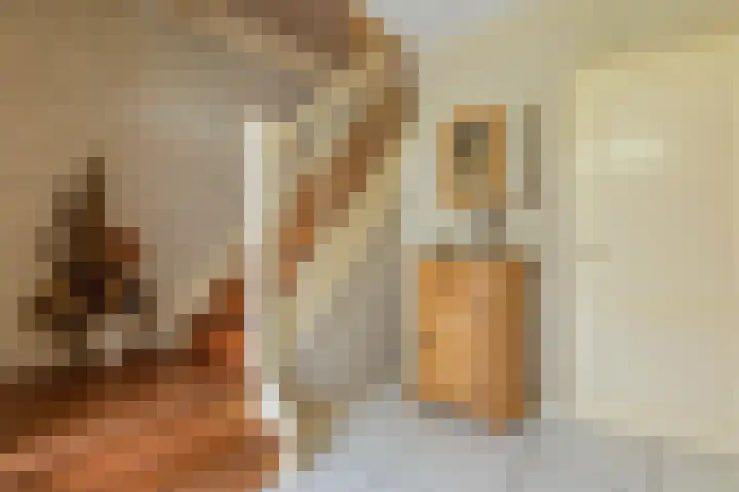 De Scheifelaar 227 Veghel thumbnail 9
