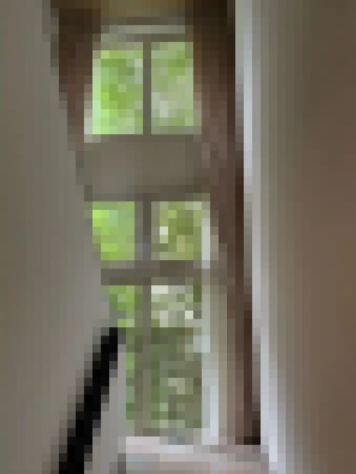 De Scheifelaar 240 Veghel thumbnail 26