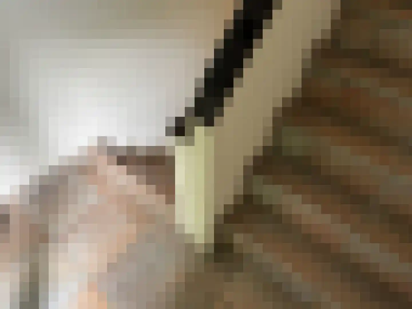 De Scheifelaar 240 Veghel thumbnail 27