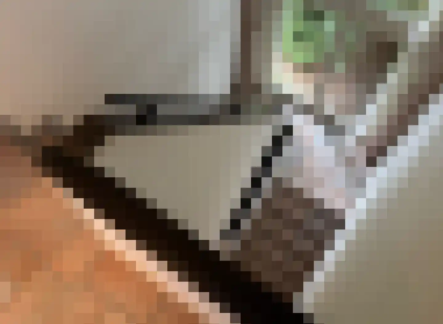 De Scheifelaar 240 Veghel thumbnail 28