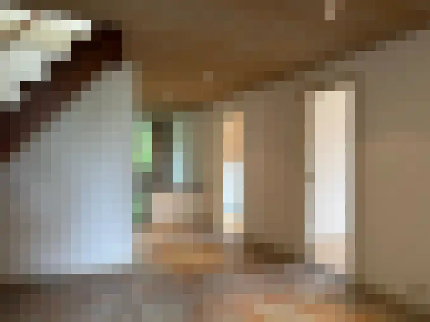 De Scheifelaar 240 Veghel thumbnail 30