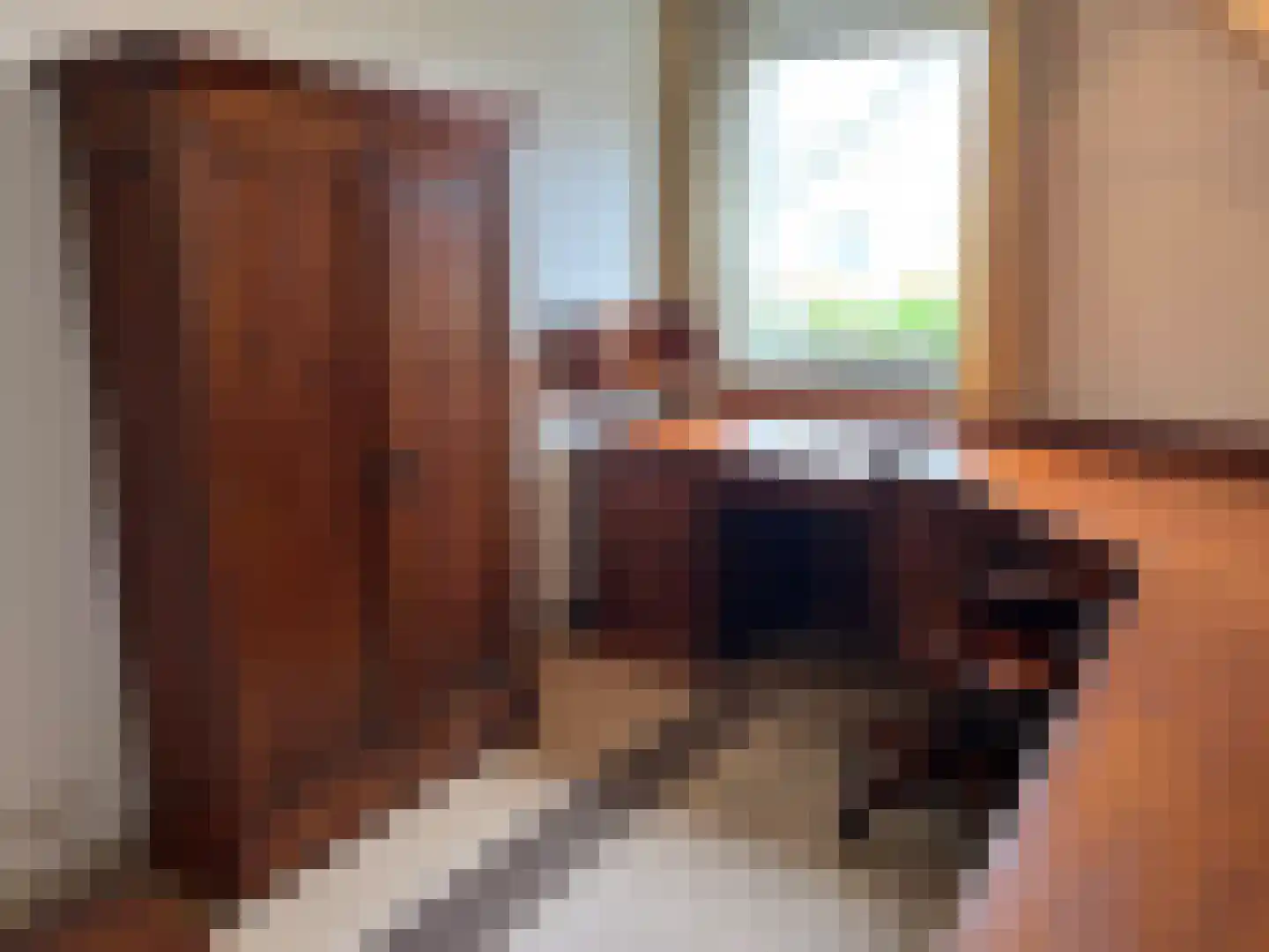 De Scheifelaar 240 Veghel thumbnail 43