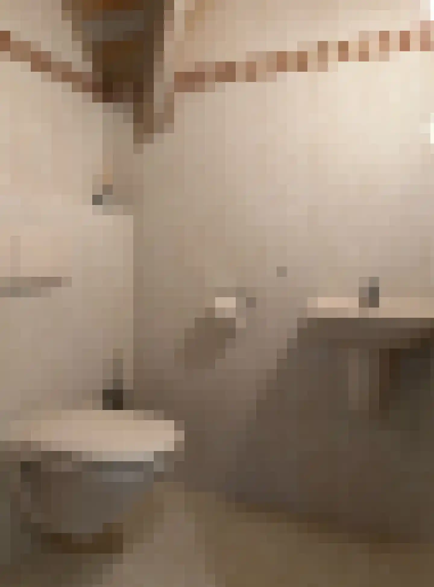 De Scheifelaar 240 Veghel thumbnail 44