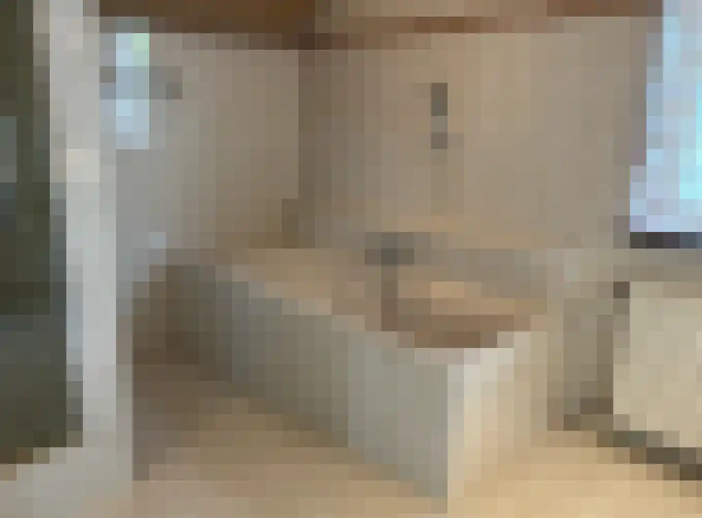 De Scheifelaar 240 Veghel thumbnail 49
