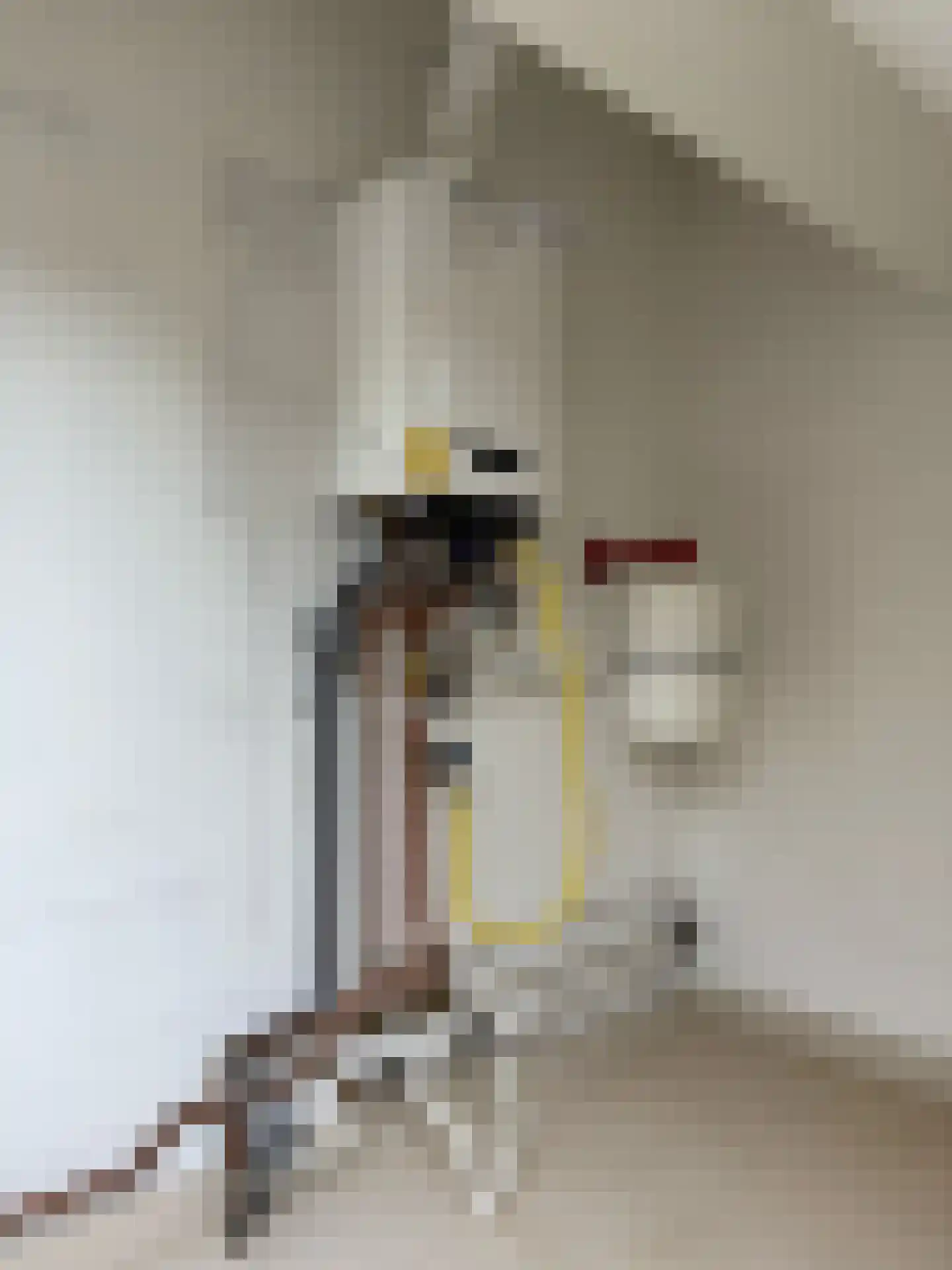 De Scheifelaar 240 Veghel thumbnail 51