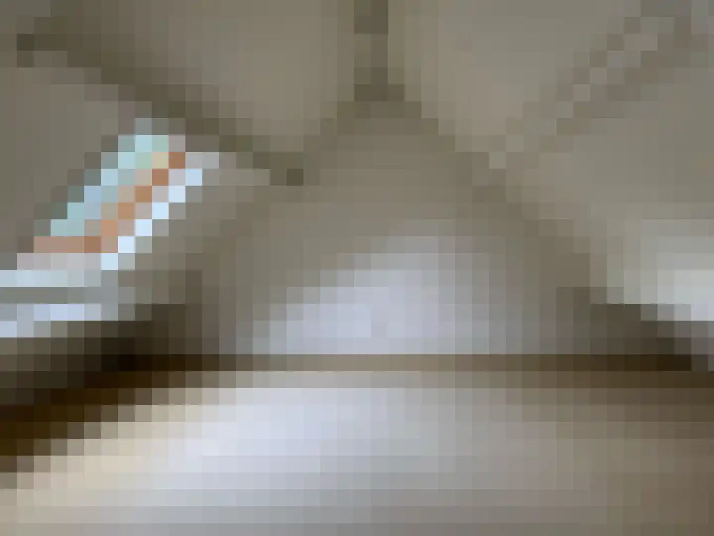 De Scheifelaar 240 Veghel thumbnail 53
