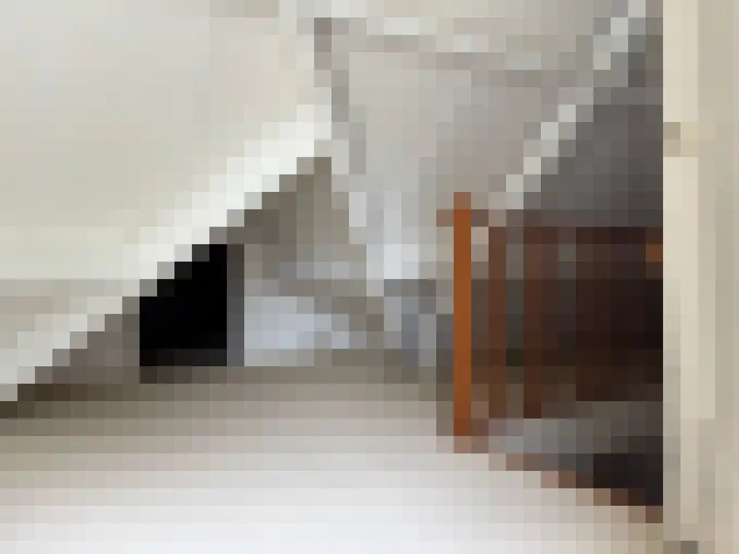 De Scheifelaar 240 Veghel thumbnail 55