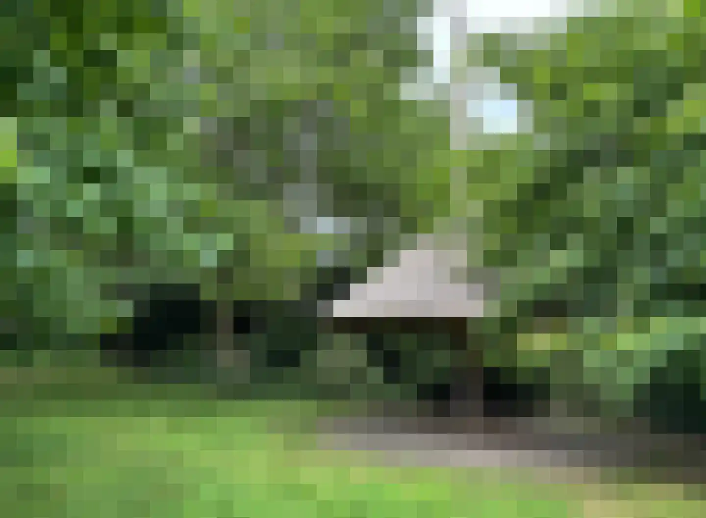 De Scheifelaar 240 Veghel thumbnail 59