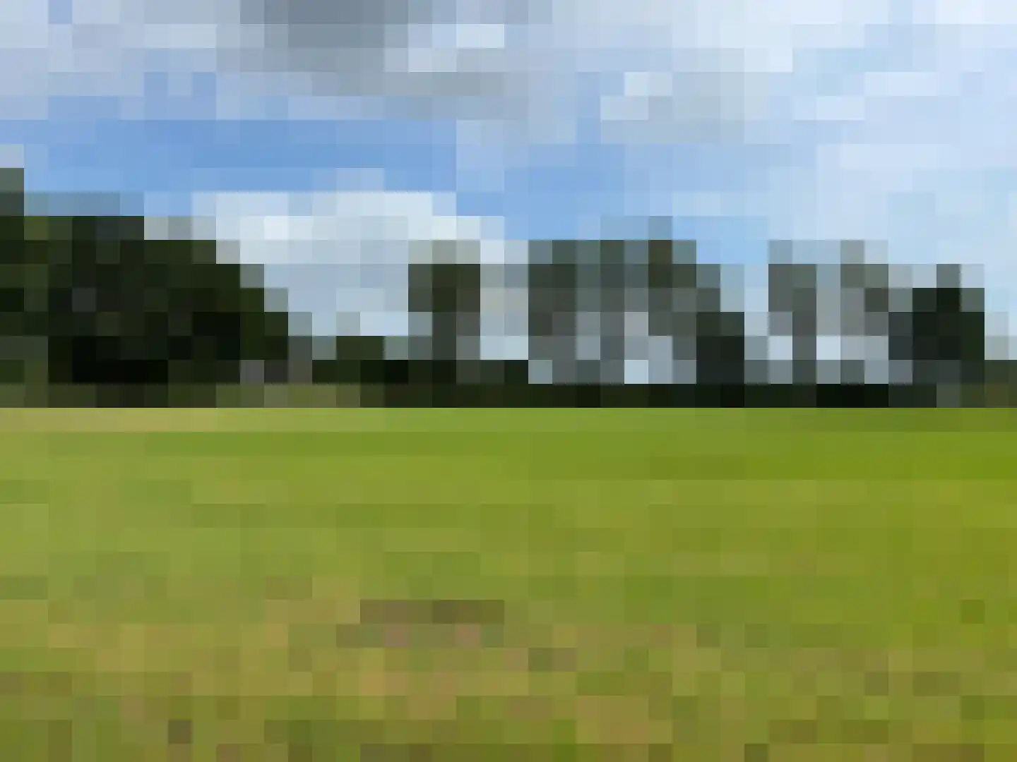 De Scheifelaar 240 Veghel thumbnail 61