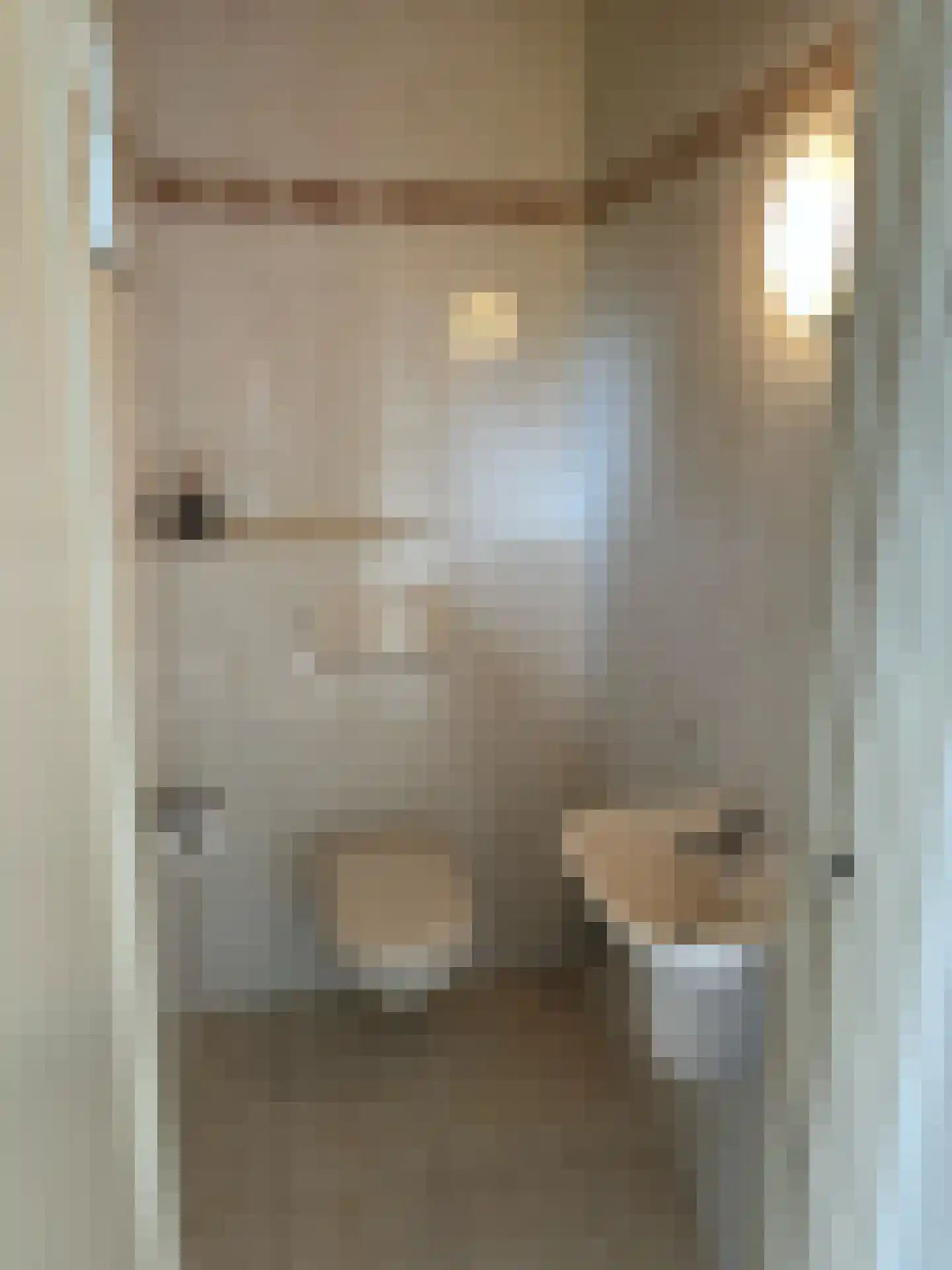 De Scheifelaar 240 Veghel thumbnail 9