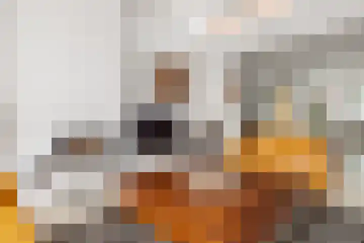 De Scheifelaar 300 Veghel thumbnail 10