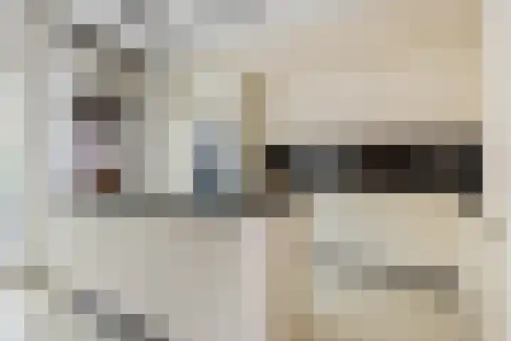 De Scheifelaar 300 Veghel thumbnail 11