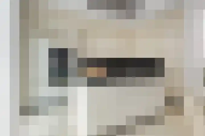De Scheifelaar 300 Veghel thumbnail 12