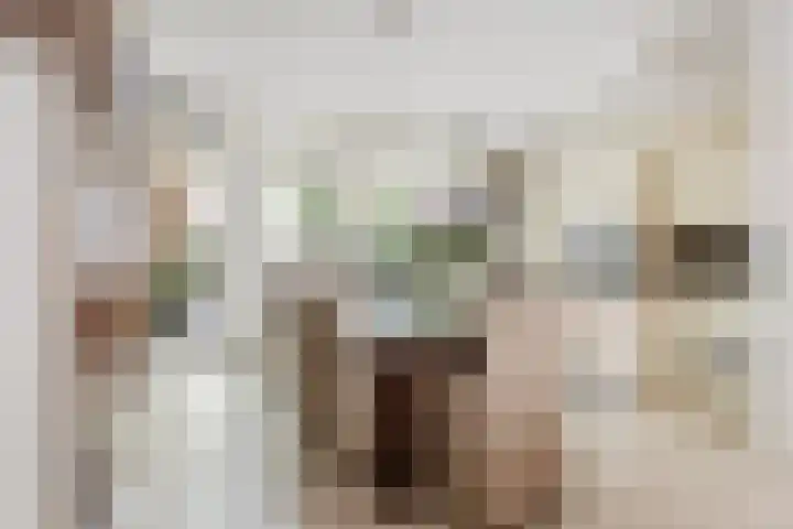 De Scheifelaar 300 Veghel thumbnail 15