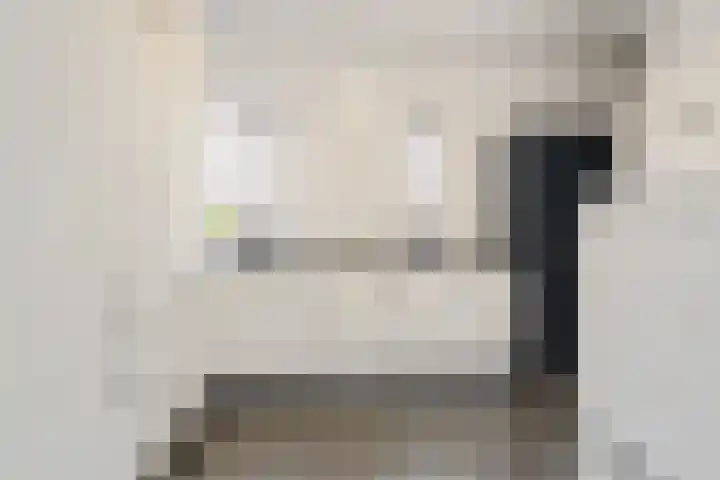De Scheifelaar 300 Veghel thumbnail 18