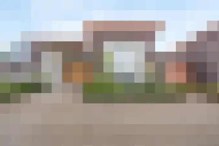 De Scheifelaar 300 Veghel foto 2