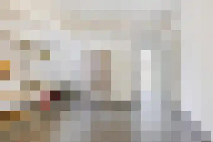 De Scheifelaar 300 Veghel thumbnail 20
