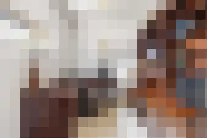 De Scheifelaar 300 Veghel thumbnail 21