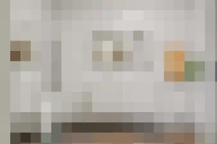 De Scheifelaar 300 Veghel thumbnail 24
