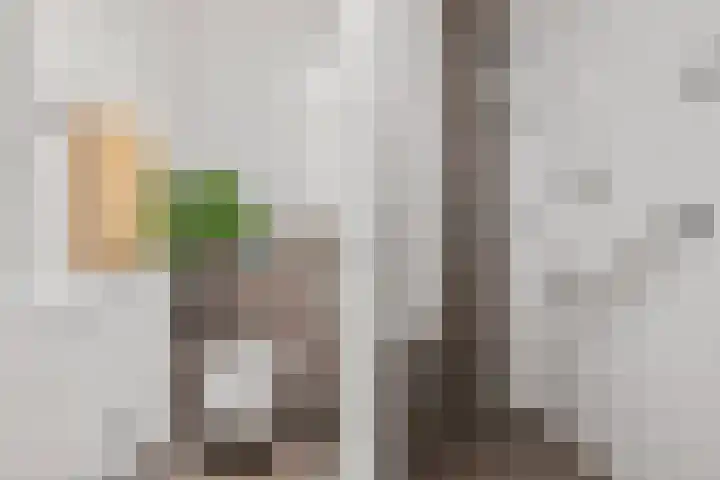 De Scheifelaar 300 Veghel thumbnail 25