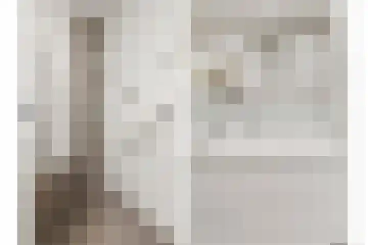 De Scheifelaar 300 Veghel thumbnail 27