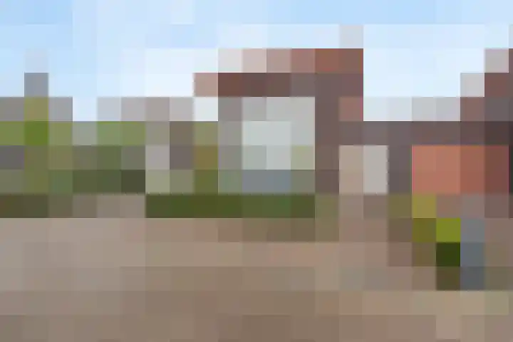 De Scheifelaar 300 Veghel foto 3