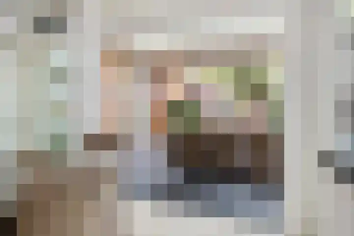 De Scheifelaar 300 Veghel thumbnail 31