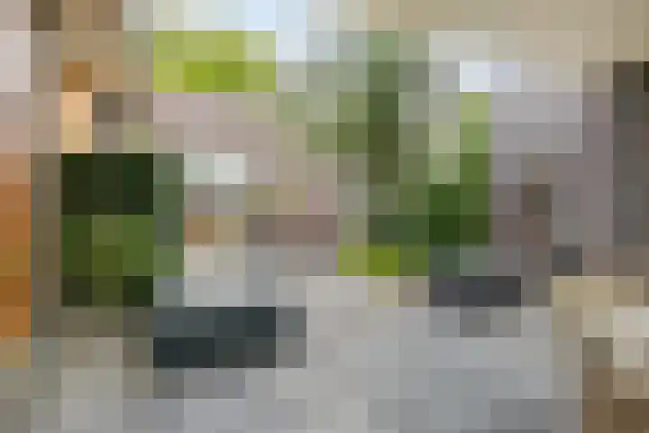 De Scheifelaar 300 Veghel thumbnail 32