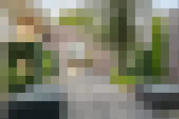 De Scheifelaar 300 Veghel thumbnail 33