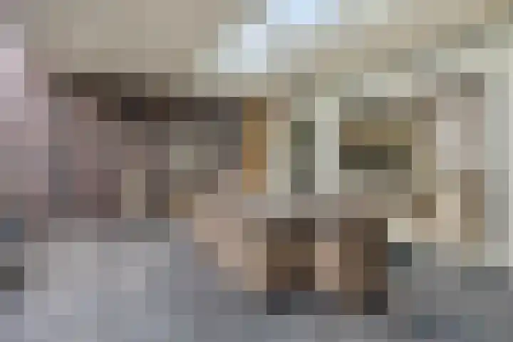 De Scheifelaar 300 Veghel thumbnail 34