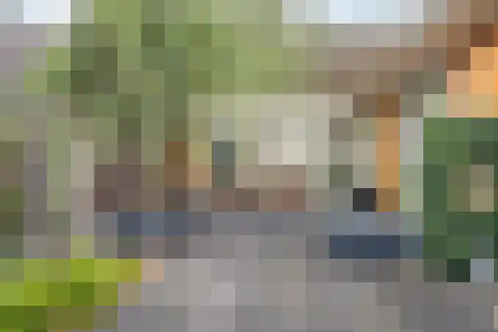 De Scheifelaar 300 Veghel thumbnail 35