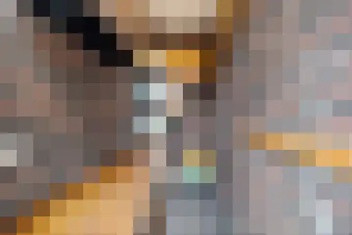 De Scheifelaar 300 Veghel thumbnail 36