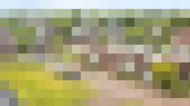 De Scheifelaar 300 Veghel thumbnail 37