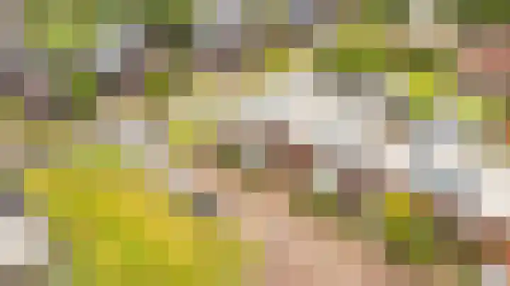 De Scheifelaar 300 Veghel thumbnail 38