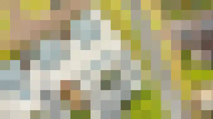 De Scheifelaar 300 Veghel thumbnail 39
