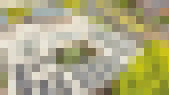 De Scheifelaar 300 Veghel thumbnail 40