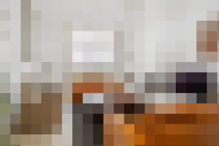 De Scheifelaar 300 Veghel thumbnail 5