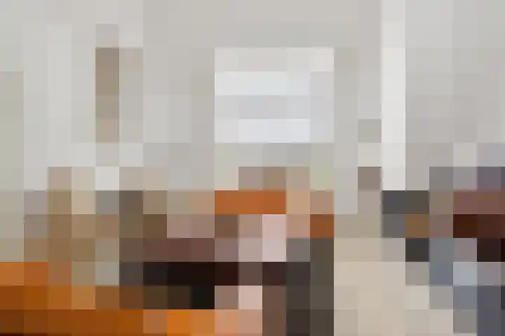 De Scheifelaar 300 Veghel thumbnail 6