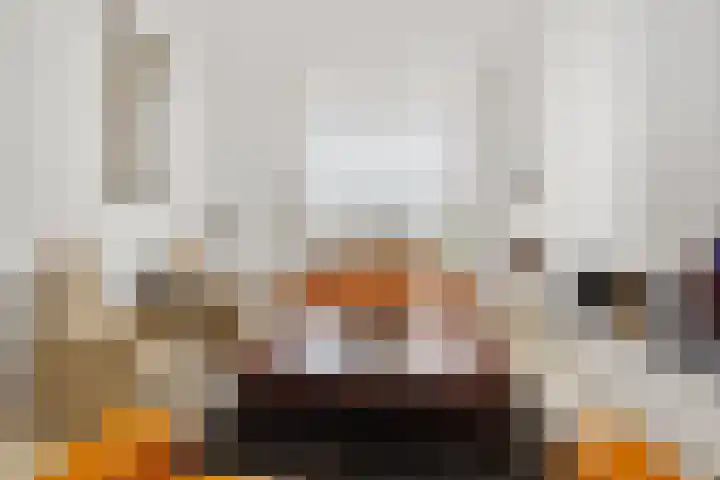 De Scheifelaar 300 Veghel thumbnail 7