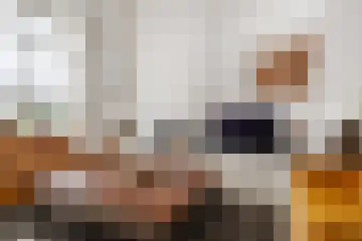 De Scheifelaar 300 Veghel thumbnail 8