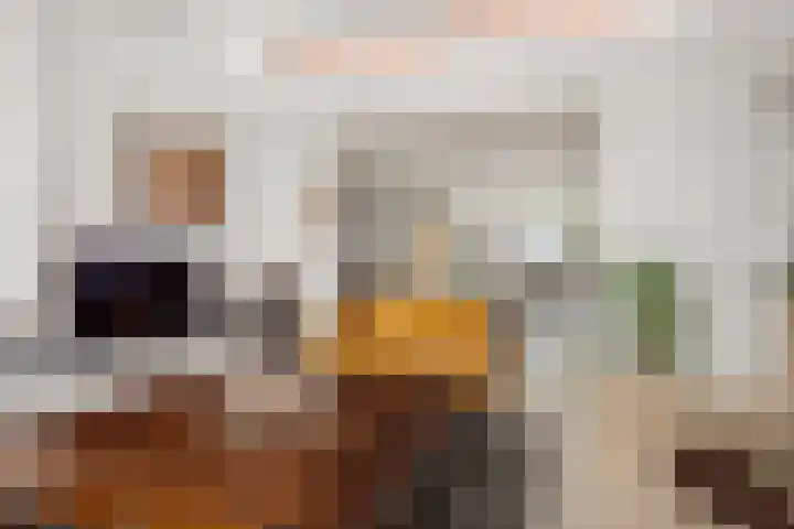 De Scheifelaar 300 Veghel thumbnail 9