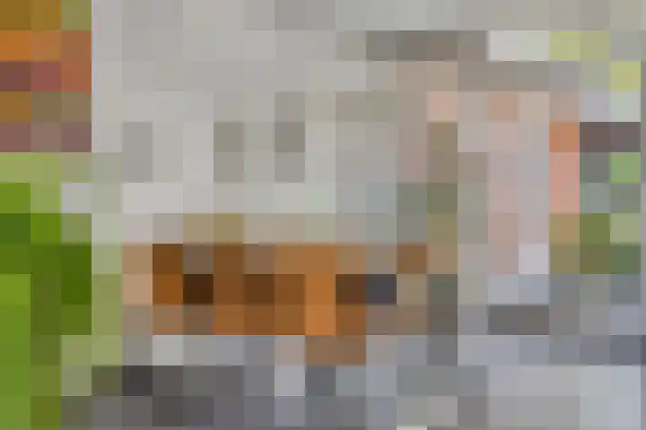 De Scheifelaar 307 Veghel thumbnail 11