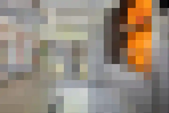 De Scheifelaar 307 Veghel thumbnail 13