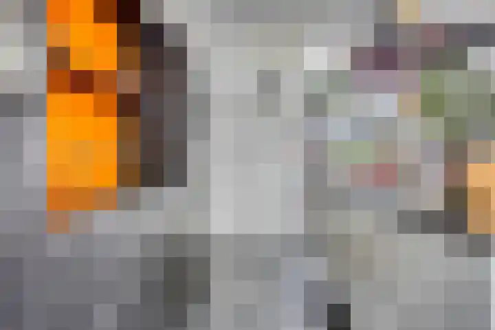 De Scheifelaar 307 Veghel thumbnail 14